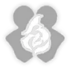 Ignite.png