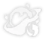 Magma.png